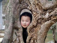 中国古石雕大观园旅游攻略