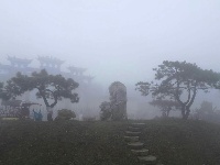 中国古石雕大观园旅游攻略