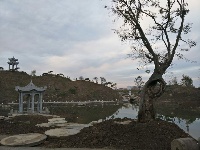 中国古石雕大观园旅游攻略