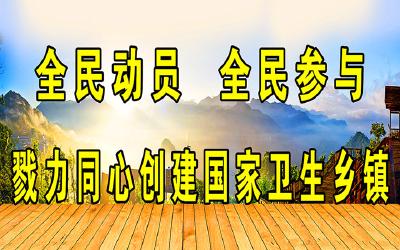 王城积极镇进国家卫生镇创建工作
