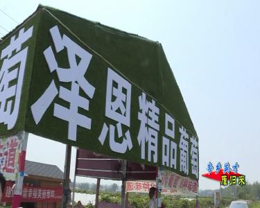 【帝乡英才雁归来】肖国超：解放思想 先行先试 勇作创业致富领头羊