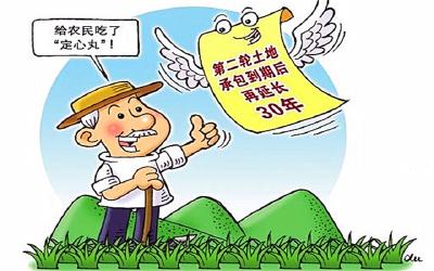 中央定了！土地承包关系长久不变！