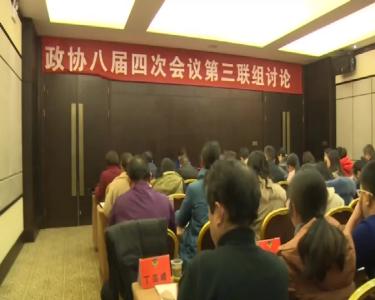 V视|市政协委员分联组讨论政府工作报告及计划、财政报告