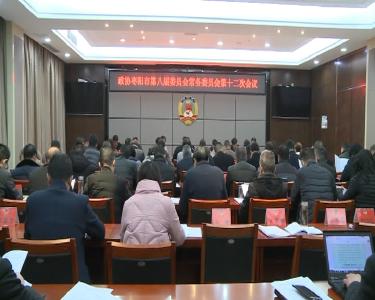 V视|政协枣阳市第八届委员会常务委员会召开第十二次会议