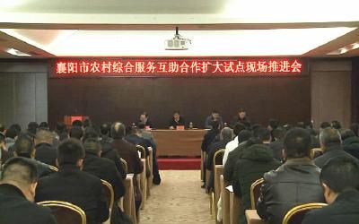 襄阳市农村综合服务互助合作扩大试点现场推进会在我市召开