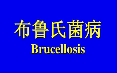 兰州96人呈血清学阳性 布鲁氏菌病来势汹汹为哪般
