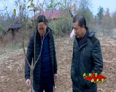 【我脱贫 我光荣】吴店镇：脱贫攻坚不落一户 小康路上不落一人