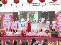 王城镇举办2020年春节文艺汇演