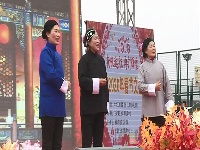 王城镇举办2020年春节文艺汇演