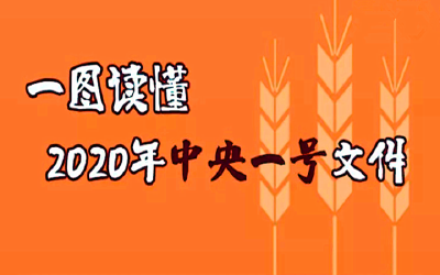 2020年中央一号文件来了！一图了解→