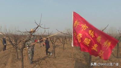 防“疫”保“桃”两不误，春耕生产分秒必争