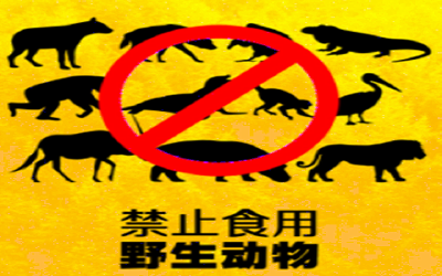 湖北全面禁止食用野生动物！