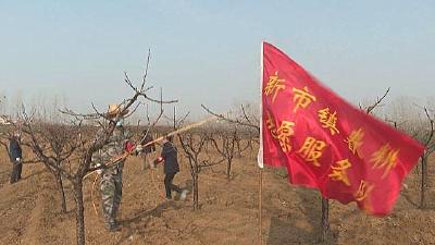 防“疫”保“桃”两不误，春耕生产分秒必争