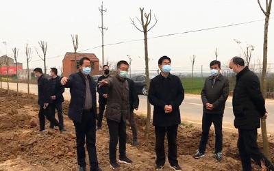 V视|市委书记孟艳清检查督办春季植树、鄂北防护林建设暨美丽乡村建设工作