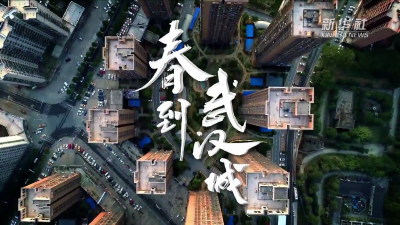 春到武汉城