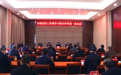 V视|市委农村工作领导小组2020年第一次会议召开