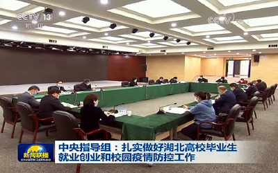 中央指导组：扎实做好湖北高校毕业生就业创业和校园疫情防控工作