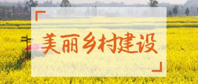 南城办事处全域推进美丽乡村建设