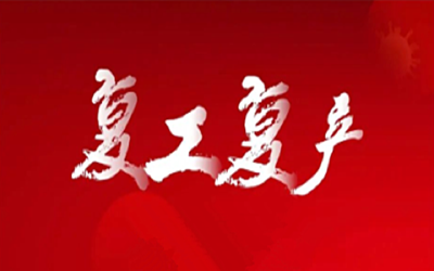 全力以“复”，跑出湖北速度！