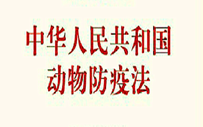 动物防疫法大修，如何织密动物疫病防控法网？