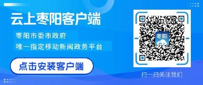 襄阳市2020年第二季度项目拉练走进枣阳