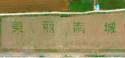 【乡村振兴】湖北枣阳南城：美丽乡村入画来