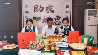 吴店镇委书记客串“主播”直播带货