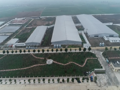 今年我市将新建32家规模化养猪场