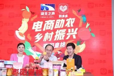 整合品牌做“网红” ——枣阳皇桃成长记