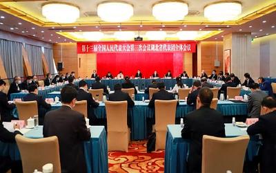 打造疾控体系改革和公卫体系建设的湖北样板！湖北代表团专题学习习近平总书记重要讲话精神