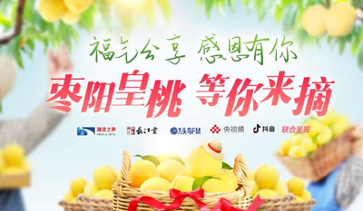 直播 |从园里“甜”到心里，枣阳皇桃“yao”你来品！
