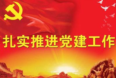 枣阳：市残联被评为“党建工作突出单位”