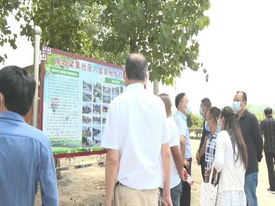 V视|参加全市美丽乡村建设“实施操作、质量提升”培训会人员参观美丽乡村建设