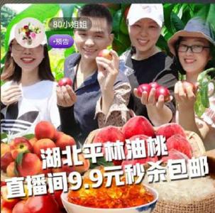 【直播】平林油桃红了