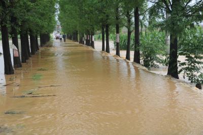 枣阳积极应对第二轮强降雨