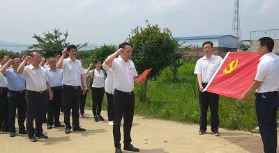 纪念碑前的别样主题党日