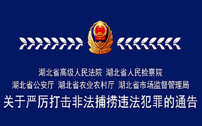湖北省公安厅联合四部门发布通告：严厉打击非法捕捞违法犯罪