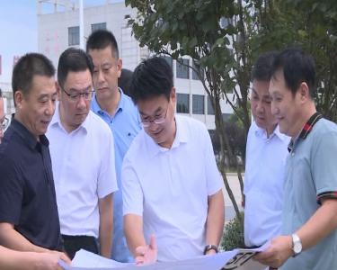 V视|孟艳清调研项目建设