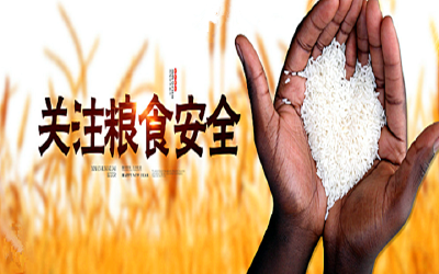 五问粮食安全——农业农村部有关负责人一席谈