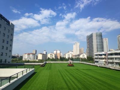 江苏沭阳：书香兰香飘进酒店 打造书画旅游新模式