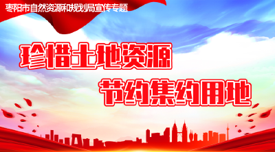 枣阳市自然资源和规划局宣传专题