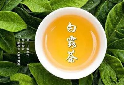 白露节气到！为何要饮“白露茶”、吃龙眼？