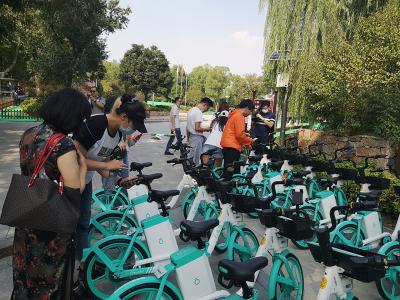 东湖绿道电单车速度降了，价格定了！