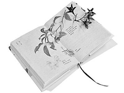 四时合序 万物有灵——《身边的二十四节气》里的“秋收”与“冬藏”