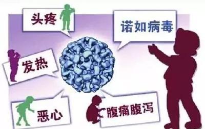 诺如病毒太强大？知道这些就不怕