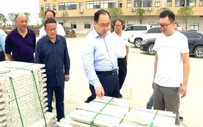 武义泉调研新市镇矿产资源开发、保护和管理工作