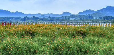 河北井陉：洁净靓丽的新河西