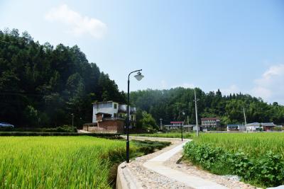 福建武平新礤村：全村总动员 建好集镇“后花园”