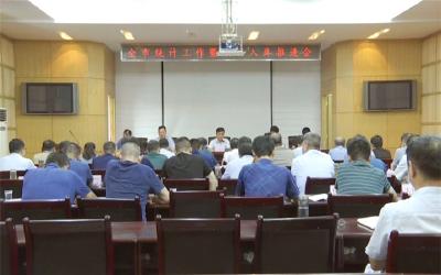 我市召开统计工作暨项目入库推进会