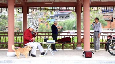 湖北南漳：从蛮河荒滩到湿地公园 完美蝶变提升城市颜值